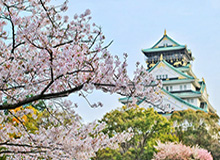 开云体育运营团队-【现场】八村神一场鬼一场 奇才球迷感受过山车一夜